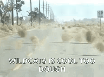 A Car Is Driving Down A Dirt Road With The Words `` Wildcats Is Cool Too Dough '' Written On The Side . GIF