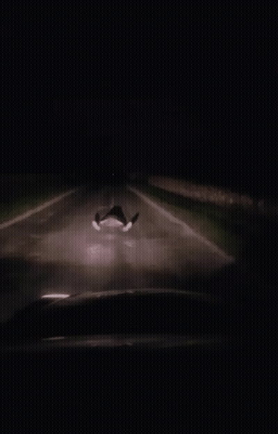 A Car Is Driving Down A Road At Night With The Words " I 'M Still Alive " Above It GIF