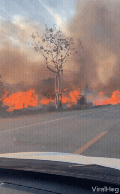 A Car Is Driving Down A Road With A Fire In The Background And The Word Viralhog On The Hood GIF