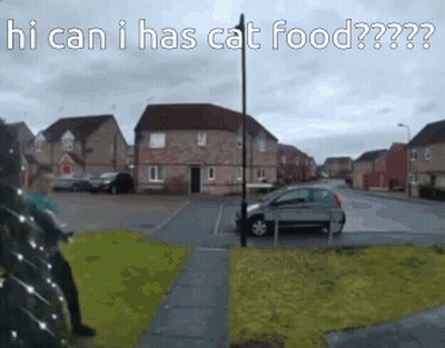 A Car Is Parked On The Side Of The Road With The Words Hi Can I Has Cat Food Written On It GIF