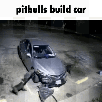 A Car That Has Been Damaged By Pitbulls Is Sitting In A Parking Lot At Night . GIF