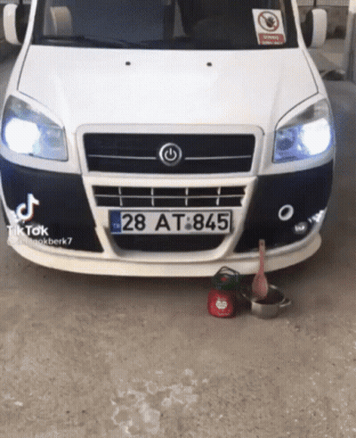A Car With A License Plate That Says 28 At 845 GIF