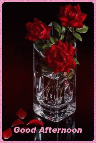 A Card That Says Good Afternoon With Roses In A Vase GIF