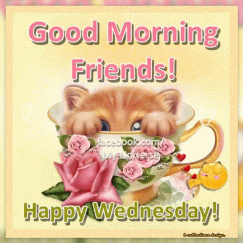 A Card That Says Good Morning Friends Happy Wednesday With A Cat In A Teacup GIF