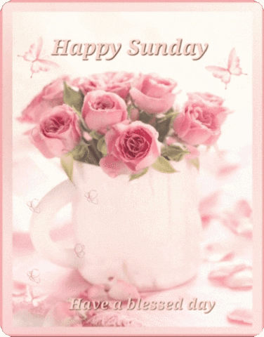 A Card That Says Happy Sunday And Has Pink Roses In A Cup GIF