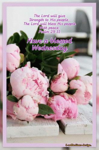 A Card That Says Have A Blessed Wednesday With A Bouquet Of Pink Flowers GIF
