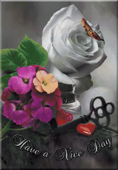 A Card That Says Have A Nice Day GIF