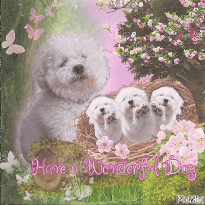 A Card That Says Have A Wonderful Day With A Dog And Three Puppies GIF