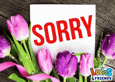 A Card That Says Sorry With Purple Tulips In The Background GIF
