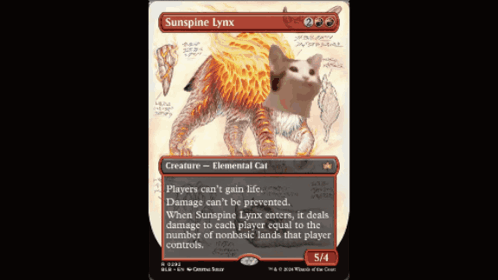 A Card That Says ' Sunshine Lynx ' At The Top Of It GIF