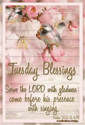 A Card That Says Tuesday Blessings With Flowers And Birds On It GIF