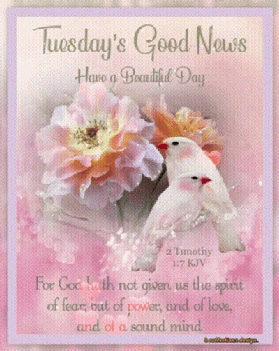 A Card That Says Tuesday 'S Good News Have A Beautiful Day On It GIF