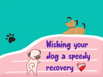 A Card With A Dog And The Words Wishing Your Dog A Speedy Recovery On It GIF