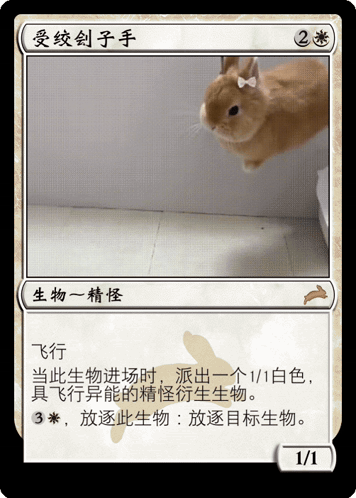 A Card With A Picture Of A Rabbit And Chinese Writing On It GIF