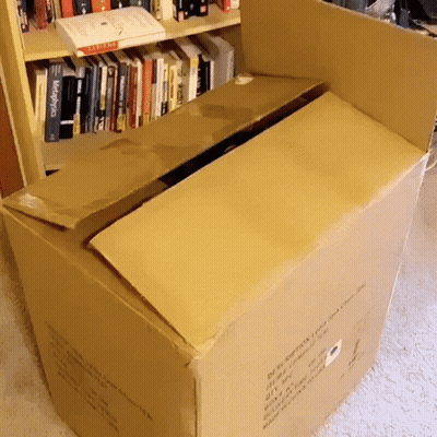 A Cardboard Box Has The Word Description On It GIF