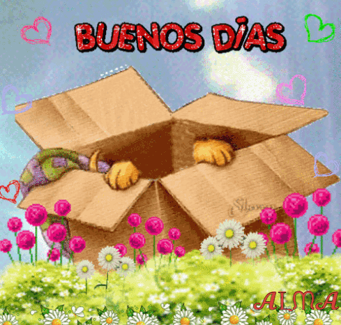 A Cardboard Box With A Cat Sticking Its Head Out Of It And The Words Buenos Dias In Red GIF