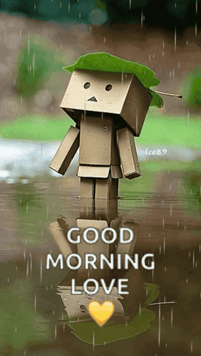 A Cardboard Box With A Green Leaf On Its Head Is In The Water With The Words Good Morning Love Below It GIF