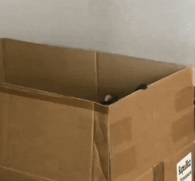 A Cardboard Box With A Label On It That Says ' Fragile ' On It GIF