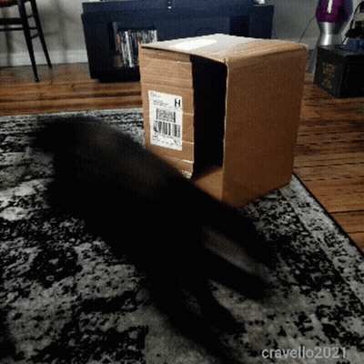 A Cardboard Box With A Sticker On It That Says H On It GIF