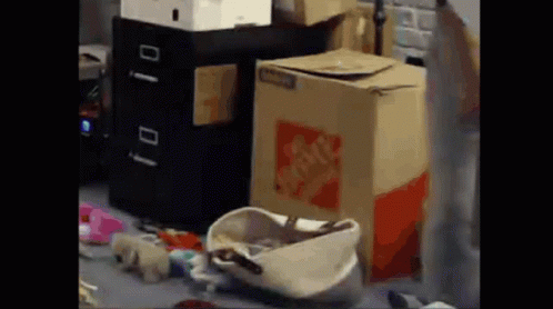 A Cardboard Box With The Word Home Depot On It Is Sitting On A Messy Floor . GIF