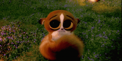 A Cartoon Animal Is Sitting In A Field Of Purple Flowers GIF