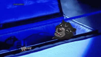 A Cartoon Bear Is In A Coffin With A W Live Logo GIF