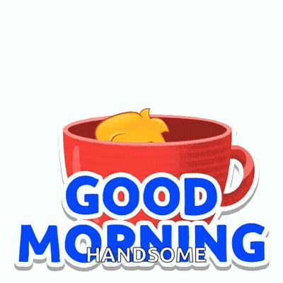 A Cartoon Bear Is Sitting In A Cup With The Words Good Morning Handsome GIF