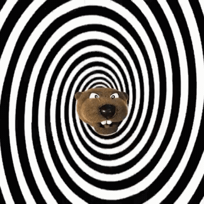 A Cartoon Beaver Is Going Through An Optical Illusion In A Spiral . GIF