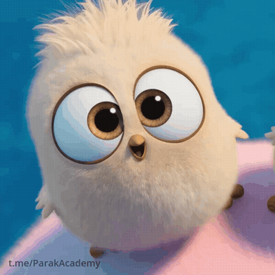 A Cartoon Bird With Big Eyes Is Sitting On A Pink Pillow With The Url T.me/parakaacademy At The Bottom GIF