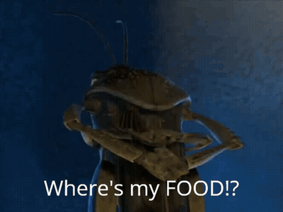 A Cartoon Bug Is Asking Where 'S My Food . GIF