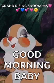 A Cartoon Bunny Is Sitting In The Woods And Says `` Good Morning Baby '' . GIF