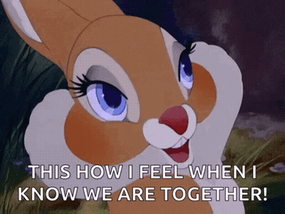 A Cartoon Bunny Says " This How I Feel When I Know We Are Together ! " GIF