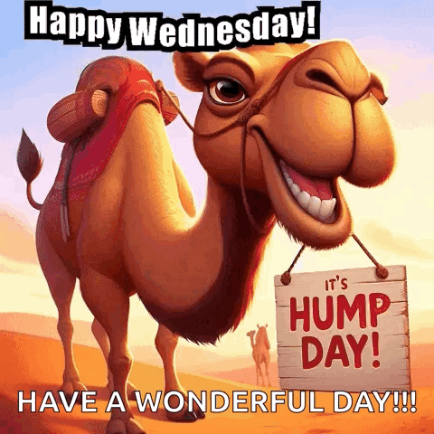 A Cartoon Camel Holding A Sign That Says It 'S Hump Day GIF