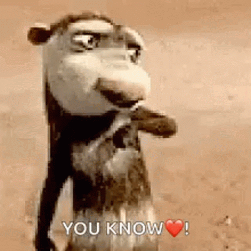 A Cartoon Camel Is Standing In The Desert And Says `` You Know ! '' GIF