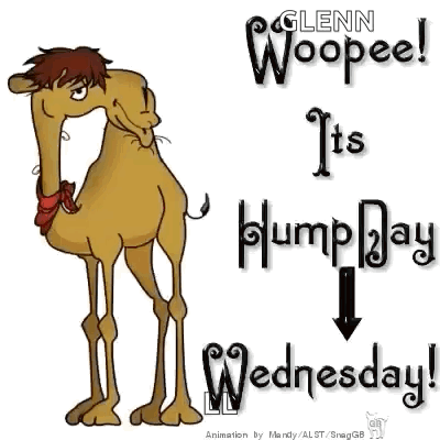 A Cartoon Camel Is Standing Next To A Sign That Says Glenn Woopeel It 'S Humpday Wednesday GIF