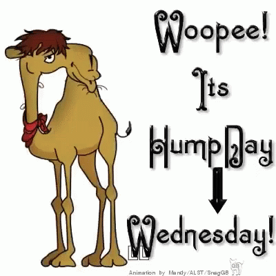 A Cartoon Camel Is Standing Next To A Sign That Says Woopeel It 'S Humpday Wednesday . GIF