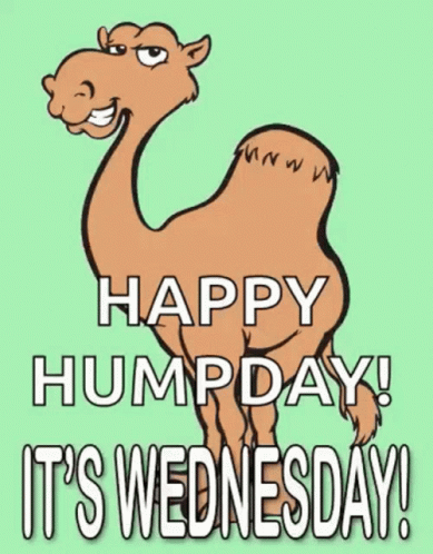 A Cartoon Camel With The Words Happy Hump Day It 'S Wednesday Written Below It GIF