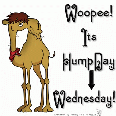 A Cartoon Camel With The Words Woopeel It 'S Hump Day Written Below It GIF