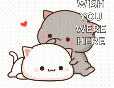 A Cartoon Cat And A White Cat Are Sitting Next To Each Other And The Cat Is Holding The White Cat 'S Head . GIF