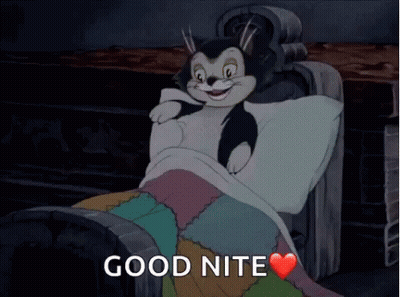 A Cartoon Cat Is Laying In A Bed With The Words Good Nite Written On The Bottom GIF