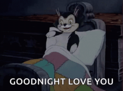 A Cartoon Cat Is Laying In A Bed With The Words Goodnight Love You Written Below It . GIF