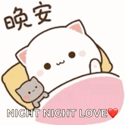 A Cartoon Cat Is Laying In A Bed With The Words Night Night Love Written Above It GIF