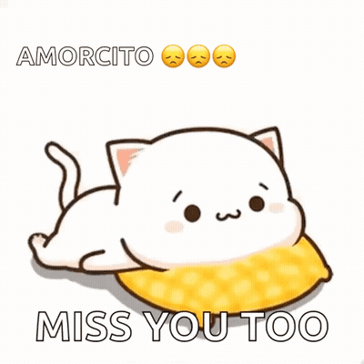 A Cartoon Cat Is Laying On A Pillow With The Words Amorcito Miss You Too Below It GIF