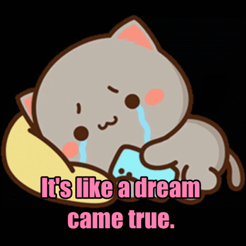 A Cartoon Cat Is Laying On A Pillow With The Words " It 'S Like A Dream Came True " GIF