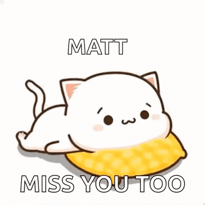 A Cartoon Cat Is Laying On A Pillow With The Words Matt Miss You Too Written On It . GIF