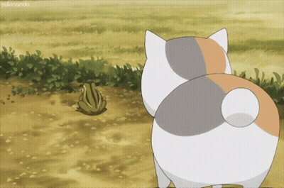 A Cartoon Cat Is Looking At A Frog In A Field With The Words " Sukinanda " On The Bottom GIF