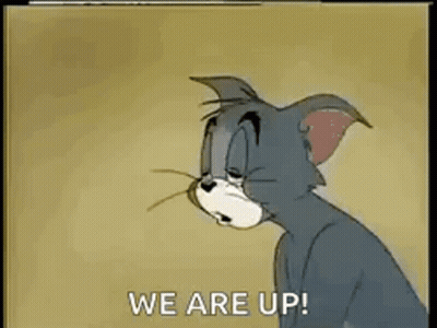 A Cartoon Cat Is Saying `` We Are Up '' While Looking Down . GIF
