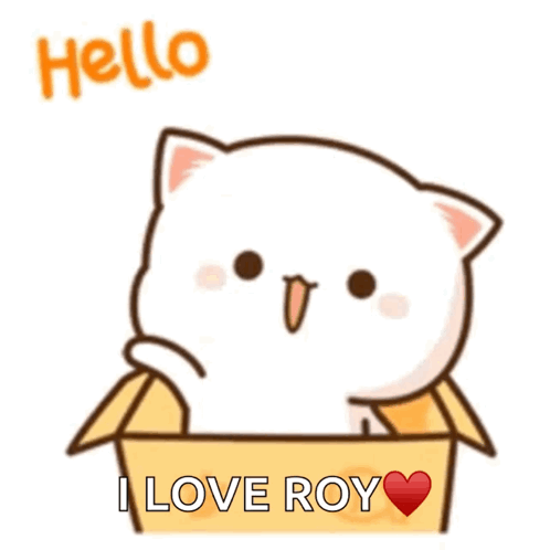 Cartoon Cat Sitting In Box Saying Hello I Love Roy GIF