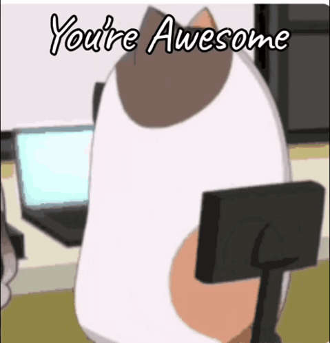 A Cartoon Cat Is Sitting In Front Of A Computer With The Words " You 'Re Awesome " Written Above It GIF