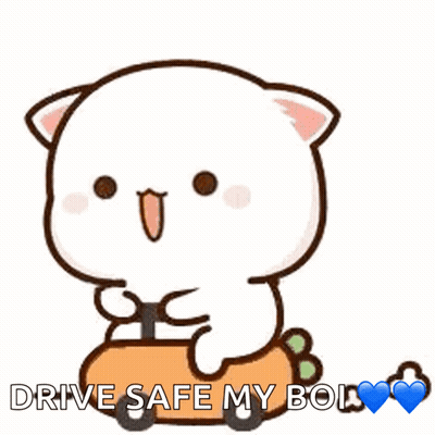 A Cartoon Cat Is Sitting On A Carrot With The Words " Drive Safe My Boi " Below It GIF